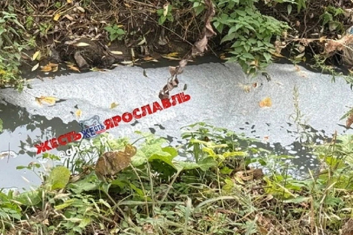 Ярославское министерство природопользования нашло в речке Толгоболке фекальные стоки