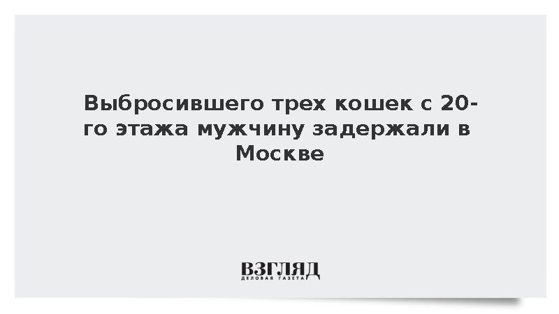 Росгвардия: Пьяный москвич выбросил с 20-го этажа трех кошек