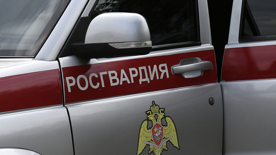 Москвич выбросил трех кошек с 20-го этажа на припаркованный автомобиль