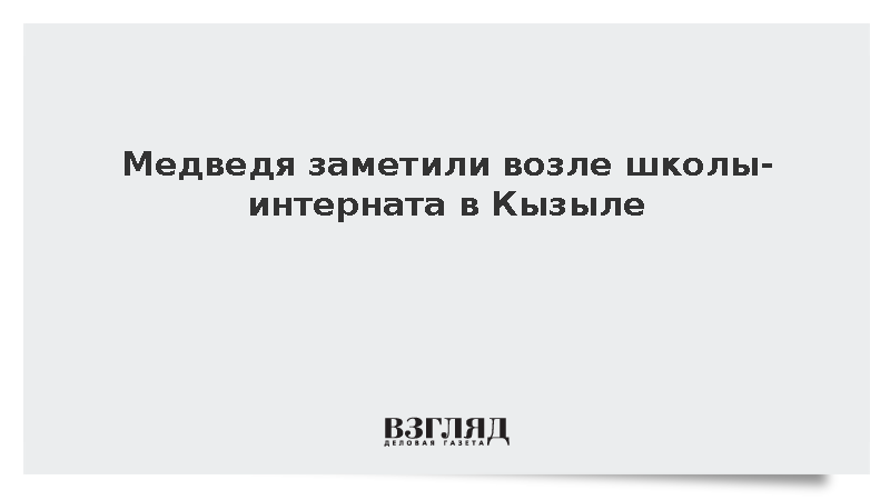 МВД: В столице Тувы медведь вышел к зданию школы-интерната