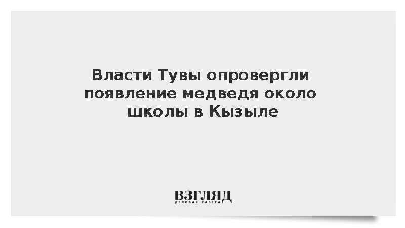 Госкомитет Тувы не подтвердил сообщения о медведе около школы в Кызыле