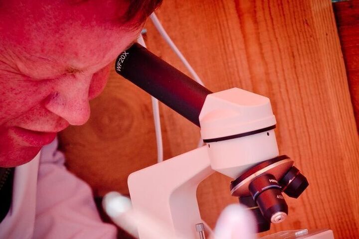 Челябинские ученые используют нобелевскую технологию в исследованиях болезни Альцгеймера