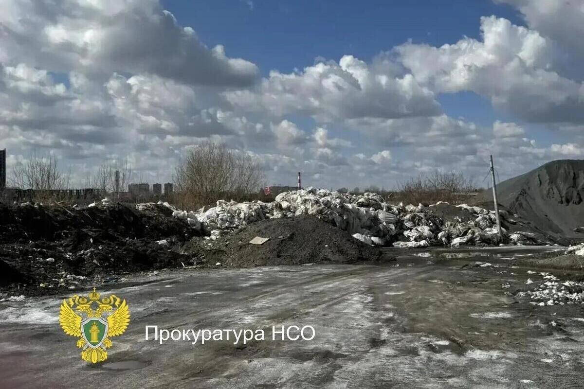 Главу Центрального округа Новосибирска заставили убрать нелегальную свалку на Кубановской