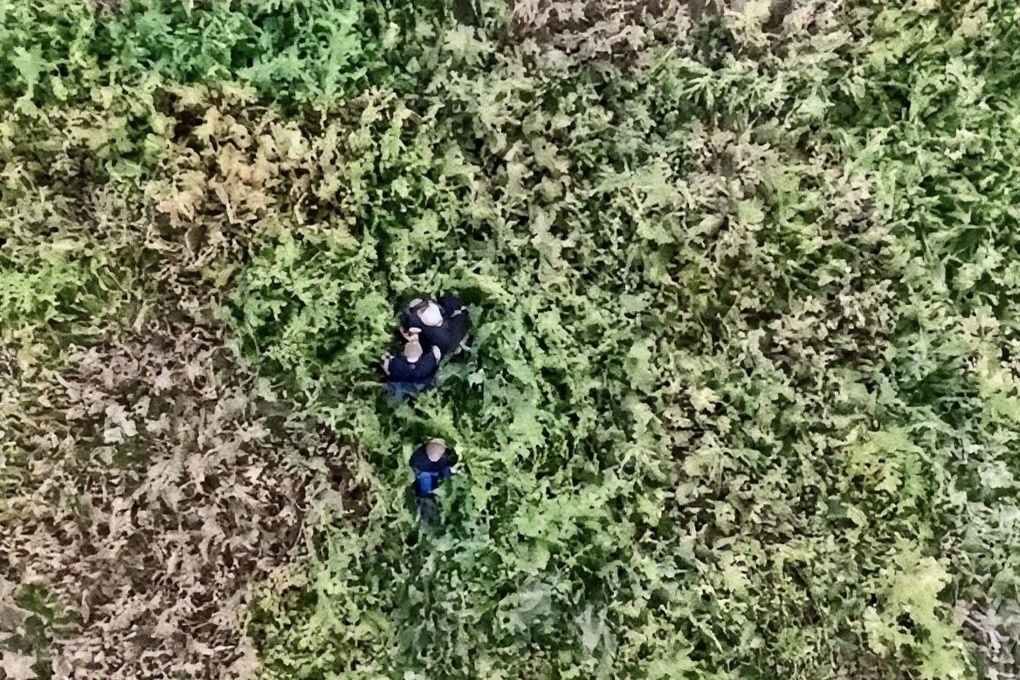 Под Волгоградом мигрантов выявили с помощью БПЛА