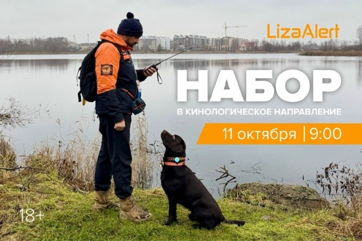 Ярославский отряд «ЛизаАлерт» зовет в свои ряды кинологов