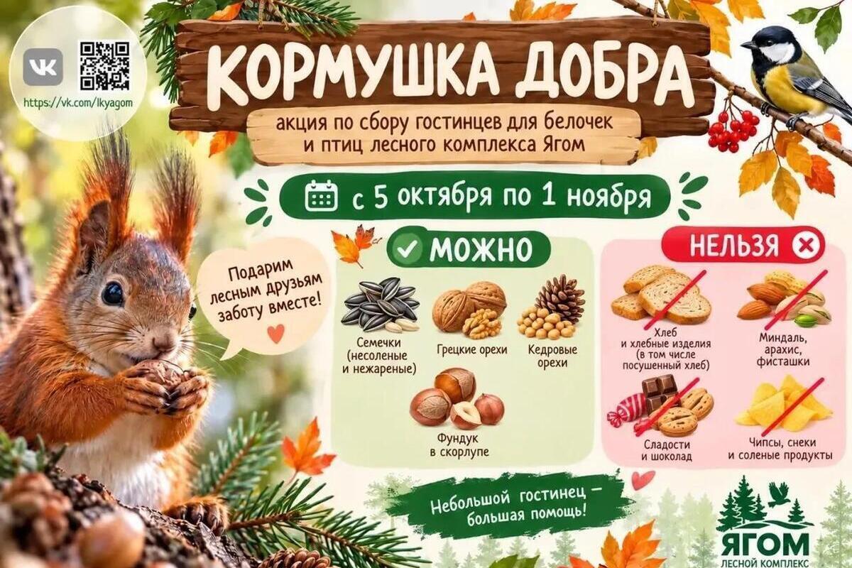 В Нижневартовске до 1 ноября собирают корм для лесных жителей