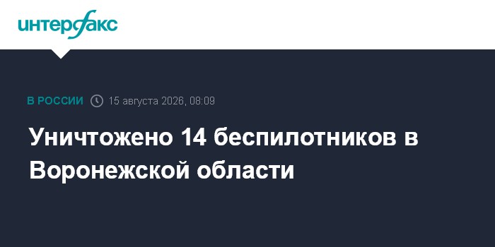 Уничтожено 14 беспилотников в Воронежской области