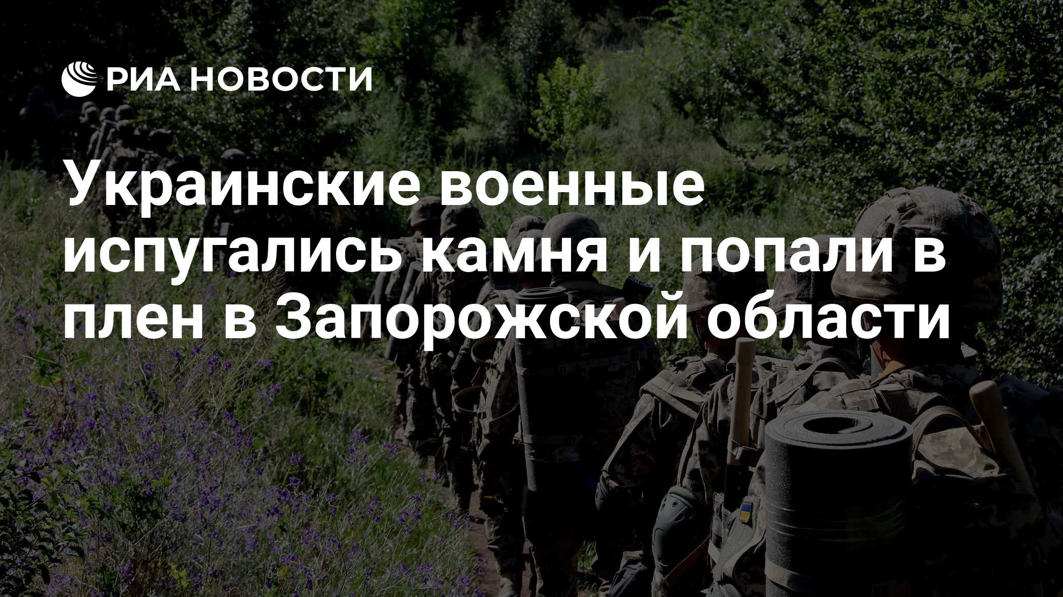 Украинские военные испугались камня и попали в плен в Запорожской области