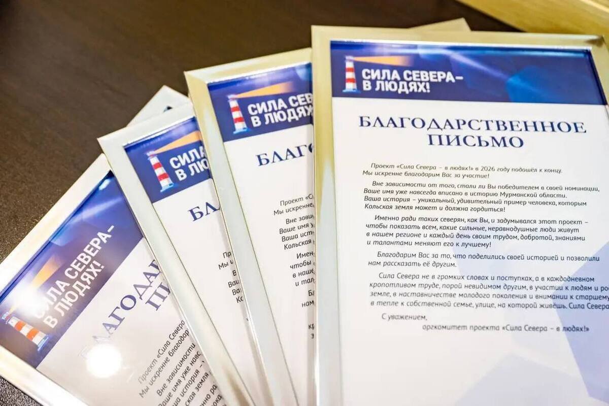Лебедев: инициативных мурманчан поблагодарили за вклад в развитие города