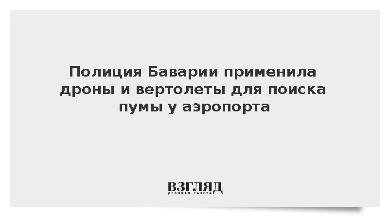 DPA: Полиция Баварии задействовала дроны и вертолеты для поиска пумы