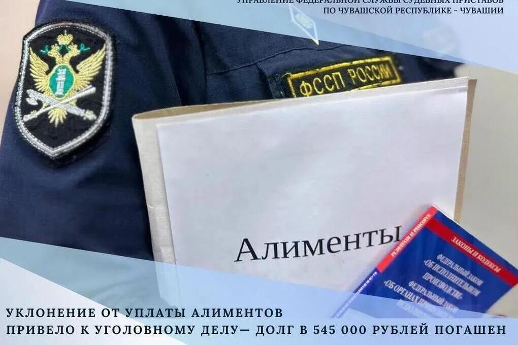 В Канаше мужчина погасил долг по алиментам в 545000 рублей после уголовного дела