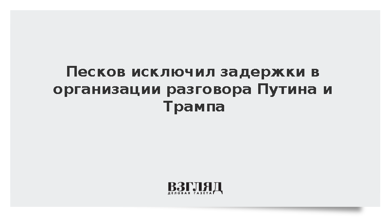 Песков исключил задержки в организации разговора Путина и Трампа