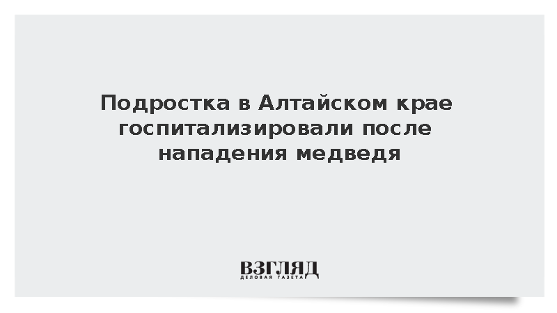 Подростка в Алтайском крае госпитализировали после нападения медведя