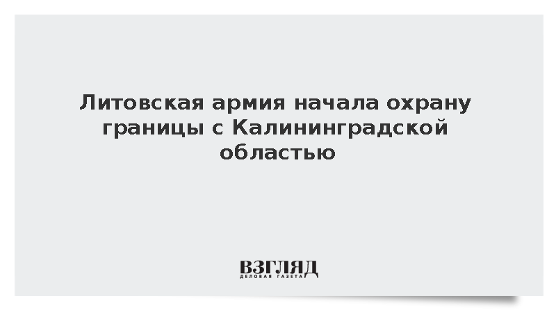 МВД Литвы: Армия будет охранять границу с Россией в течение двух недель