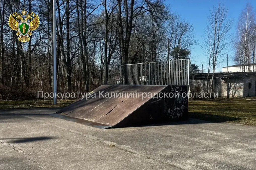 В Краснознаменске юная самокатчица отсудила 100 тысяч рублей за травму