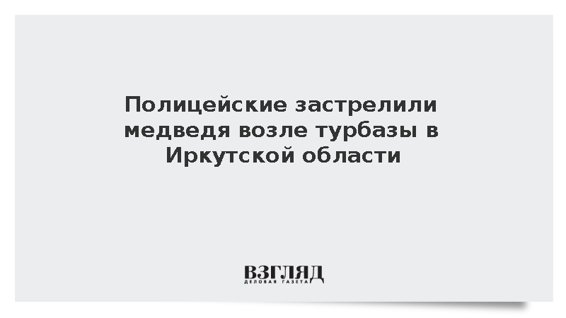 Полицейские застрелили медведя возле турбазы в Иркутской области