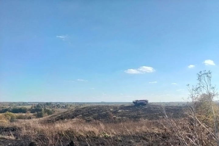 В Золотухинском районе Курской области потушили возгорание сухой травы
