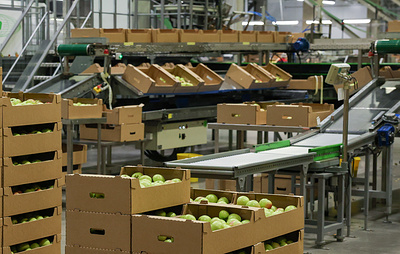 Товарооборот сельхозпродукции стран ЕАЭС за семь месяцев 2026 года вырос на 20%