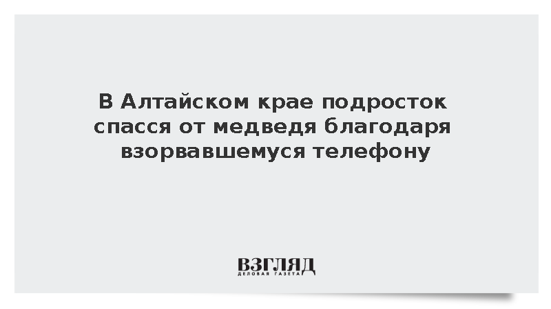 Подросток в Алтайском крае выжил после нападения медведя из-за взрыва телефона