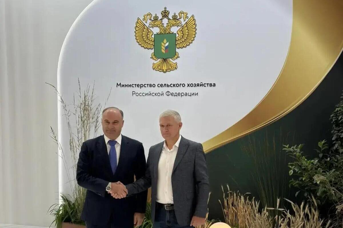 Ставропольские учёные займутся созданием отечественных сортов садовой земляники
