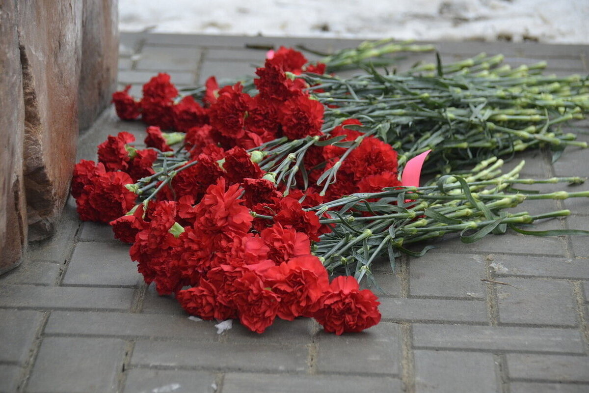 Семье погибшего контрактника вручили орден Мужества в Рязанской области