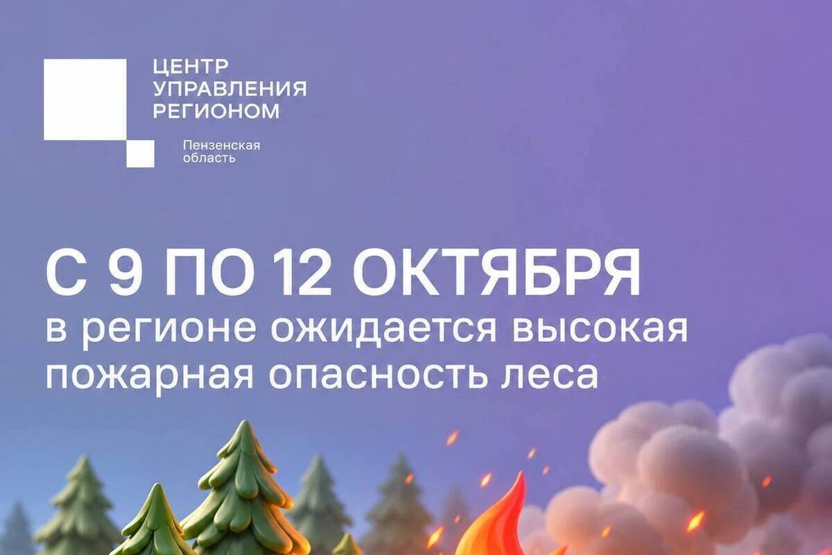 Пензенцев предупредили о высокой пожарной опасности в лесах