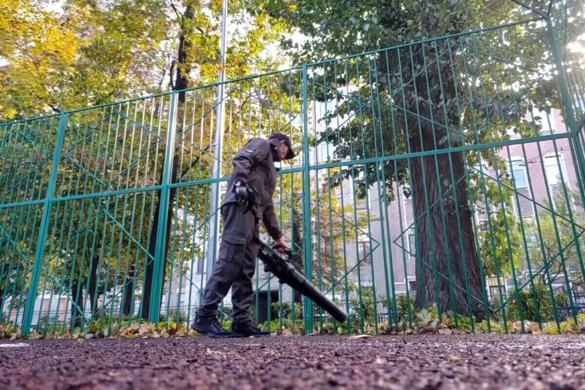 Петроградский район устроил большую осеннюю уборку перед холодами