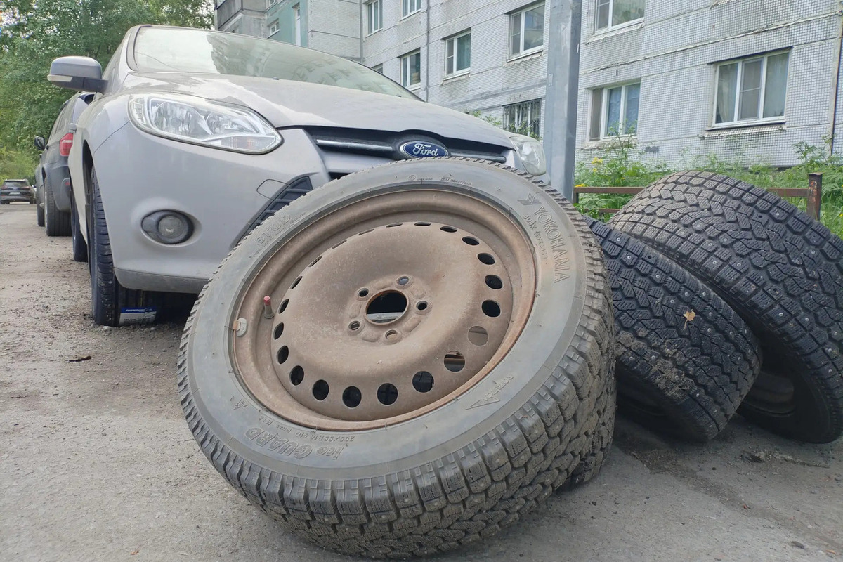 Свалка покрышек в Светлом обернулась административным делом для водителя