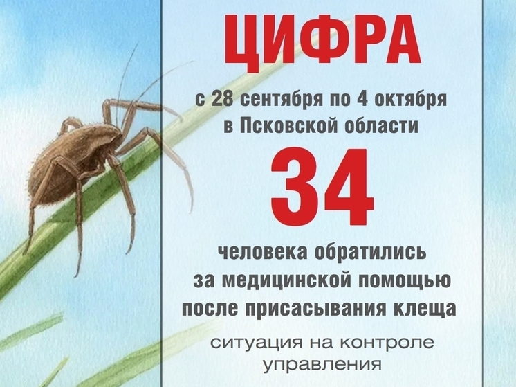 С начала сезона в Псковской области от укусов клещей пострадали 2394 человека