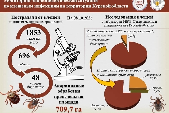 Клещи в Курской области покусали 691 ребёнка с начала года