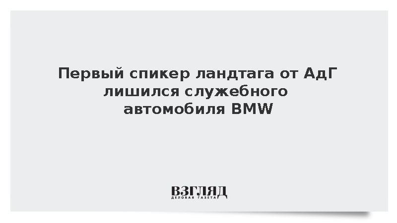 Zeit: Концерн BMW лишил служебного автомобиля первого спикера ландтага от АдГ