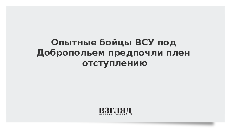 Опытные военнослужащие ВСУ под Добропольем предпочли сдаться в плен ВС России