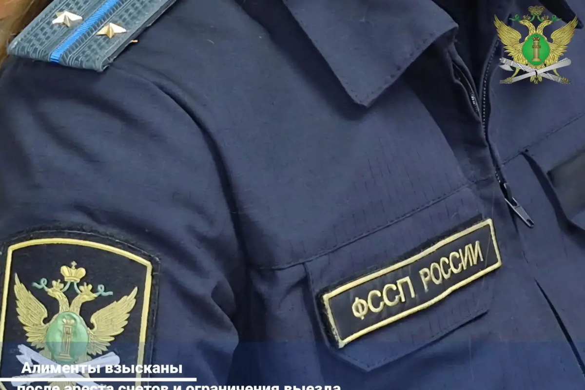 Многодетный тамбовчанин погасил крупный долг по алиментам после запрета на выезд