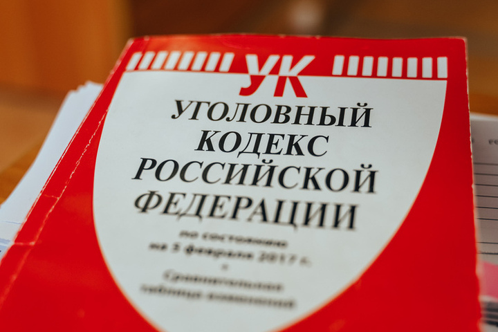 Мужчину осудили за кражу триммера из гаража в Тверской области