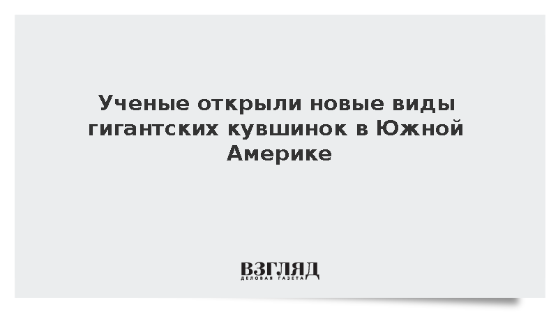 Биологи обнаружили в Южной Америке неизвестные виды кувшинок