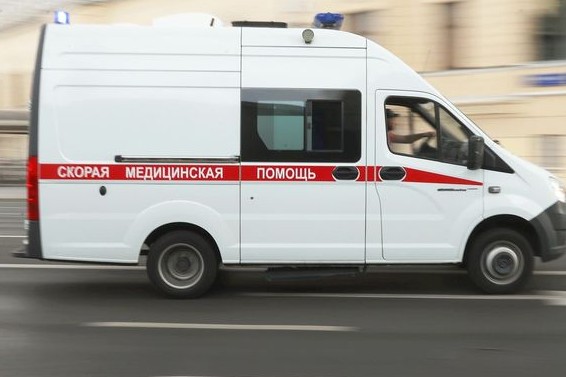 Пострадавшего от нападения медведя мальчика отправили в Барнаул