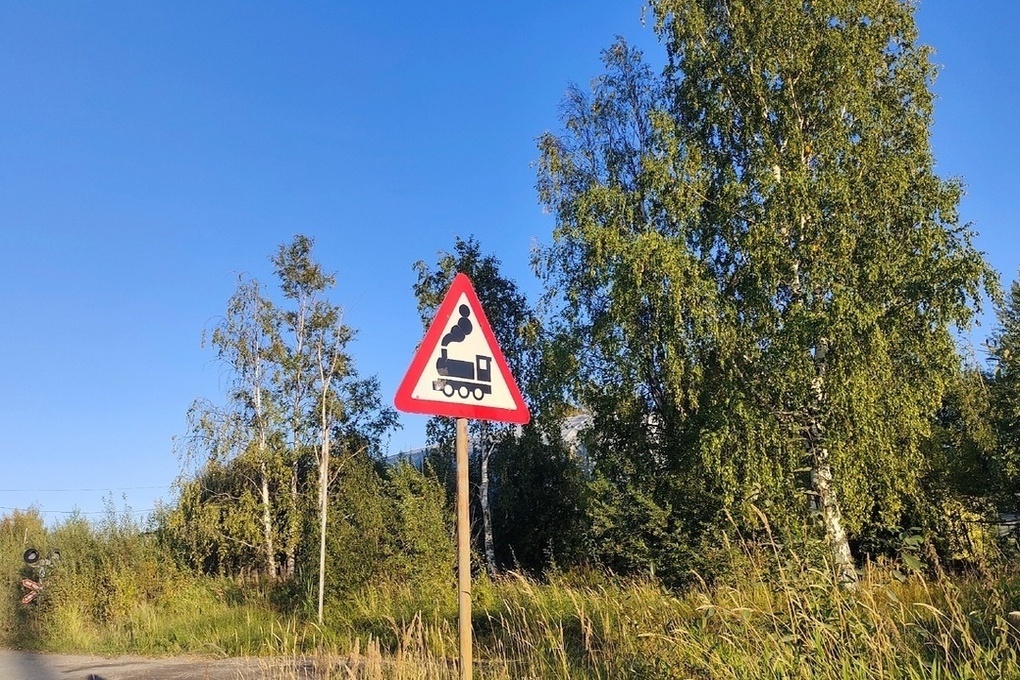 В Петрозаводске пассажир с инвалидностью не смог покинуть поезд из-за отсутствия платформы