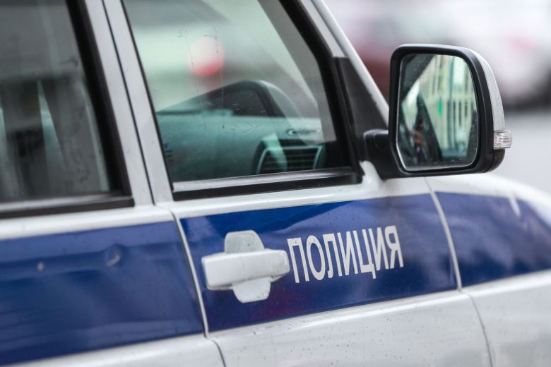 Школьница пыталась сжечь полицейскую машину