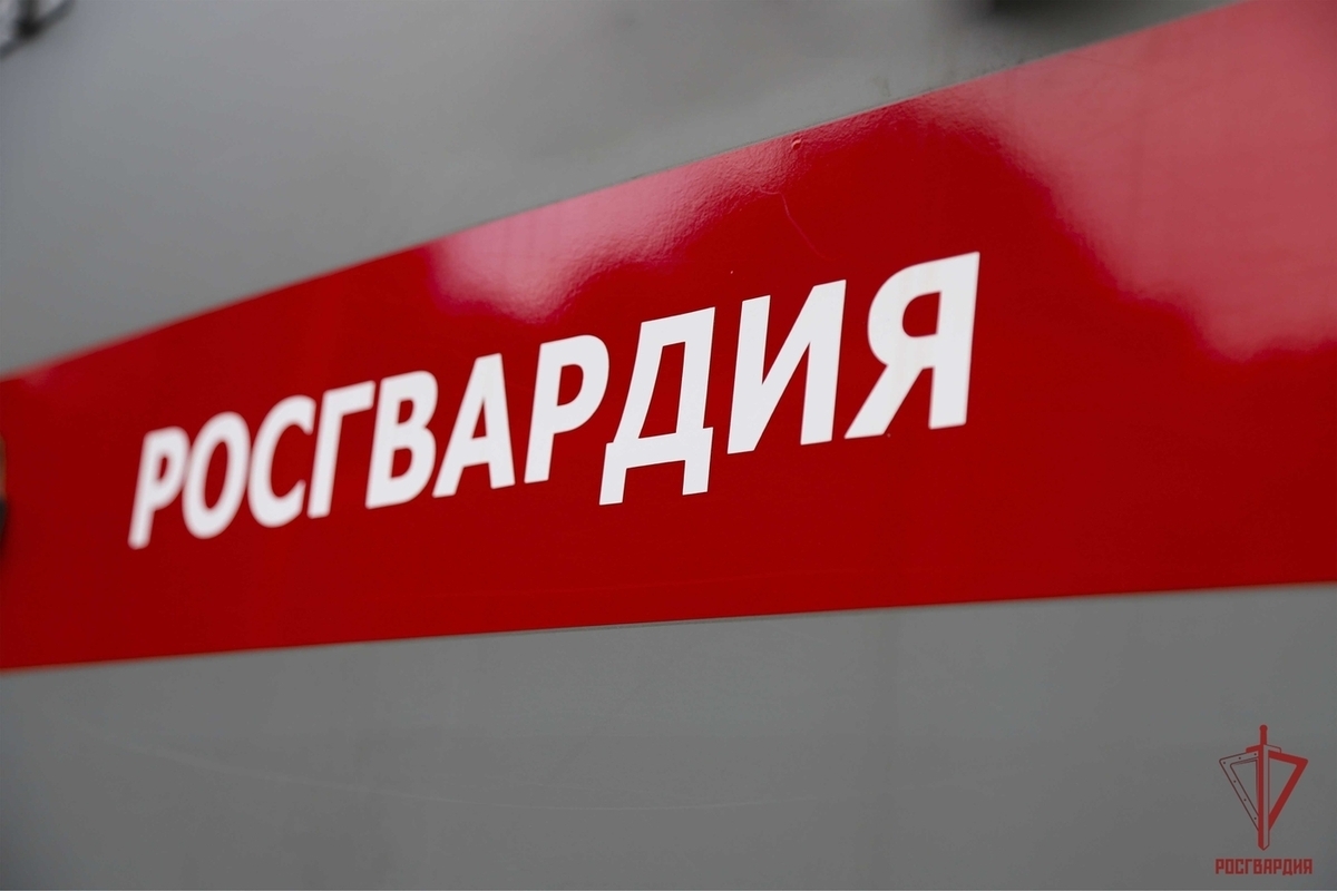 Тульские росгвардейцы за прошедшую неделю выезжали на выезды 170 раз