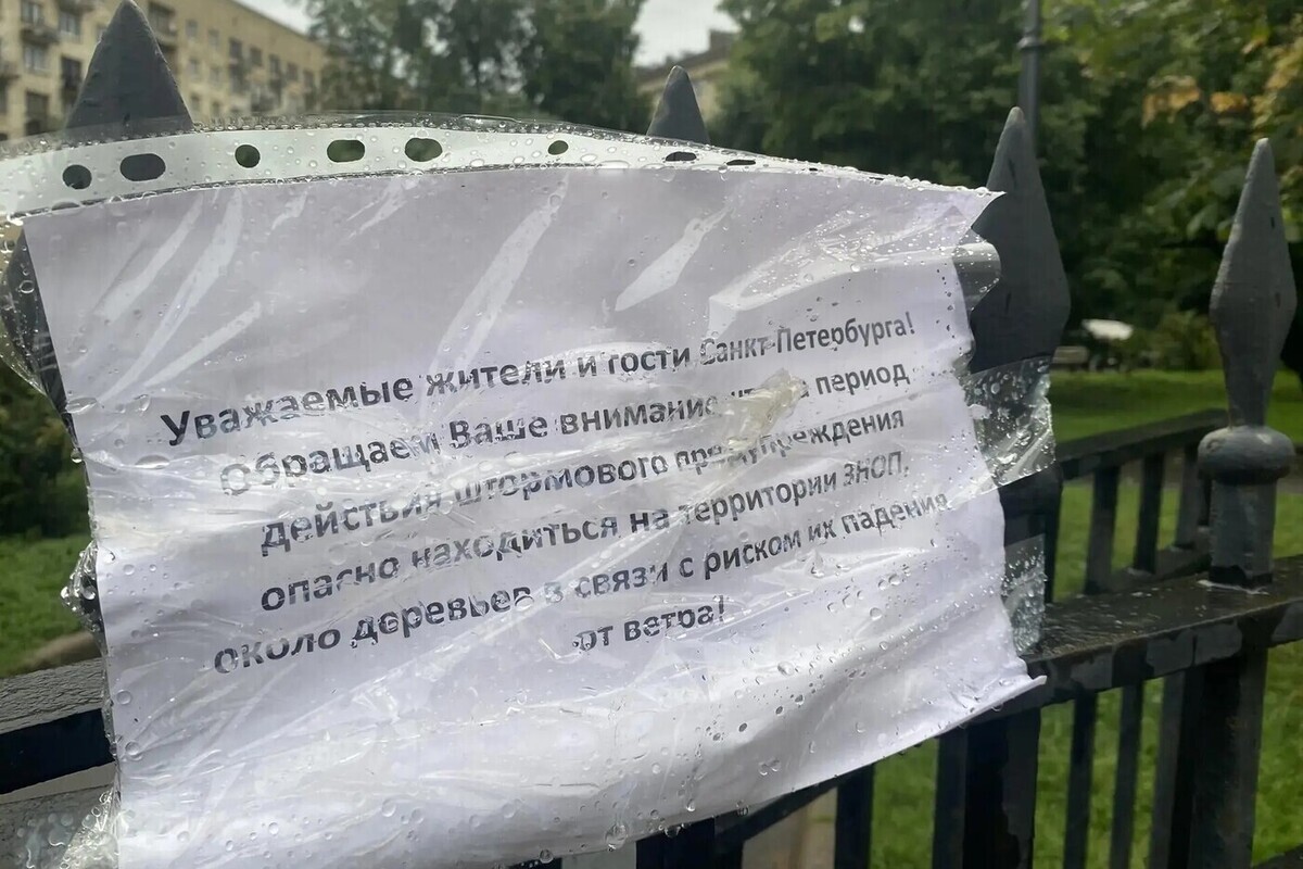 Заставляющий деревья «танцевать» ветер придет в Петербург 10 октября