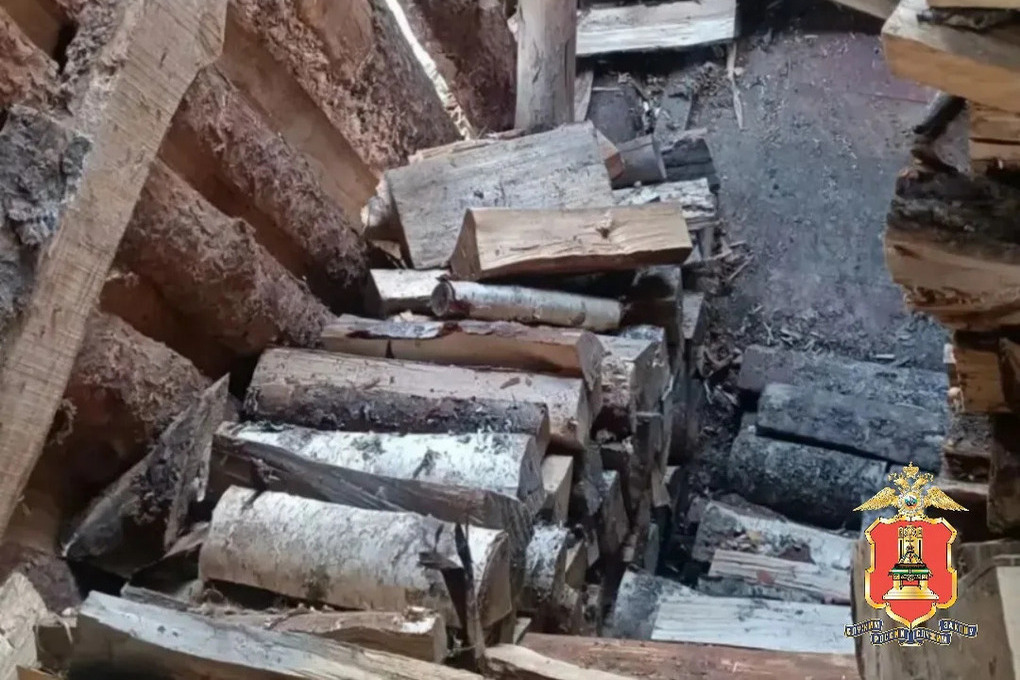 В Тверской области две цыганки месяц таскали дрова из соседского сарая