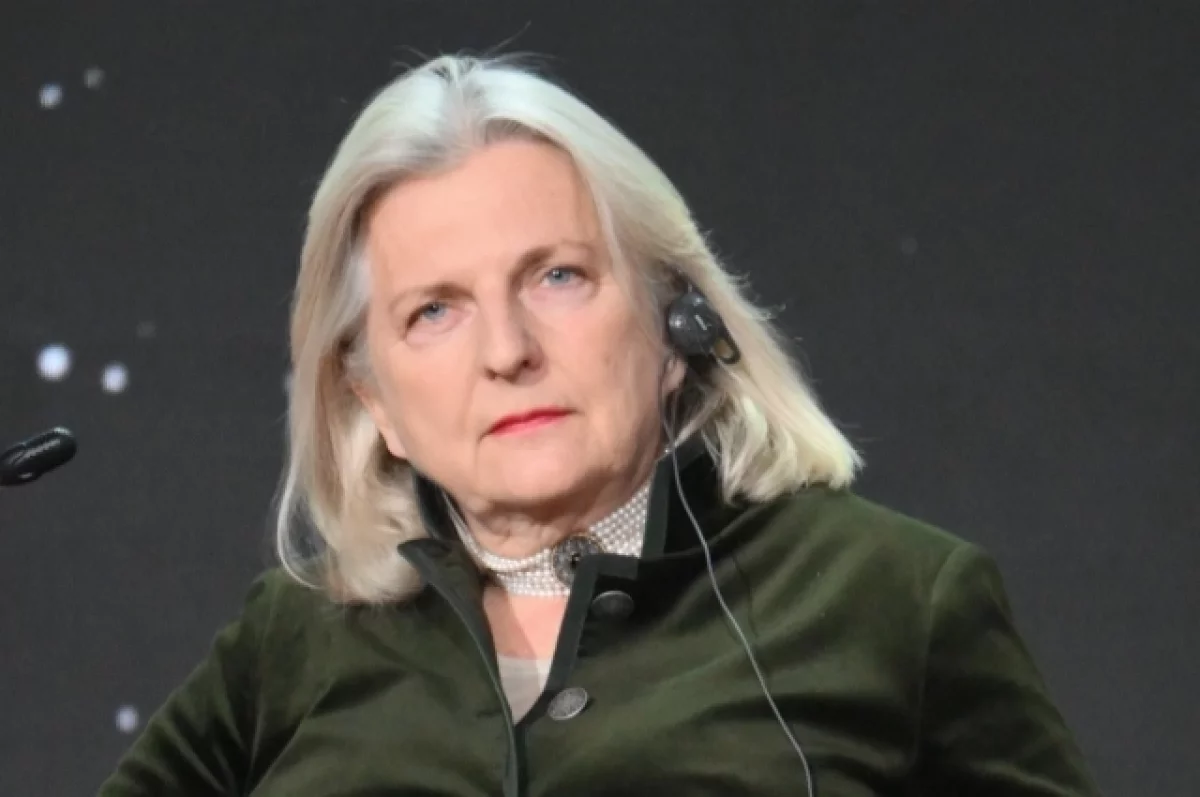 Кнайсль заявила, что европейские страны могут начать войну против России