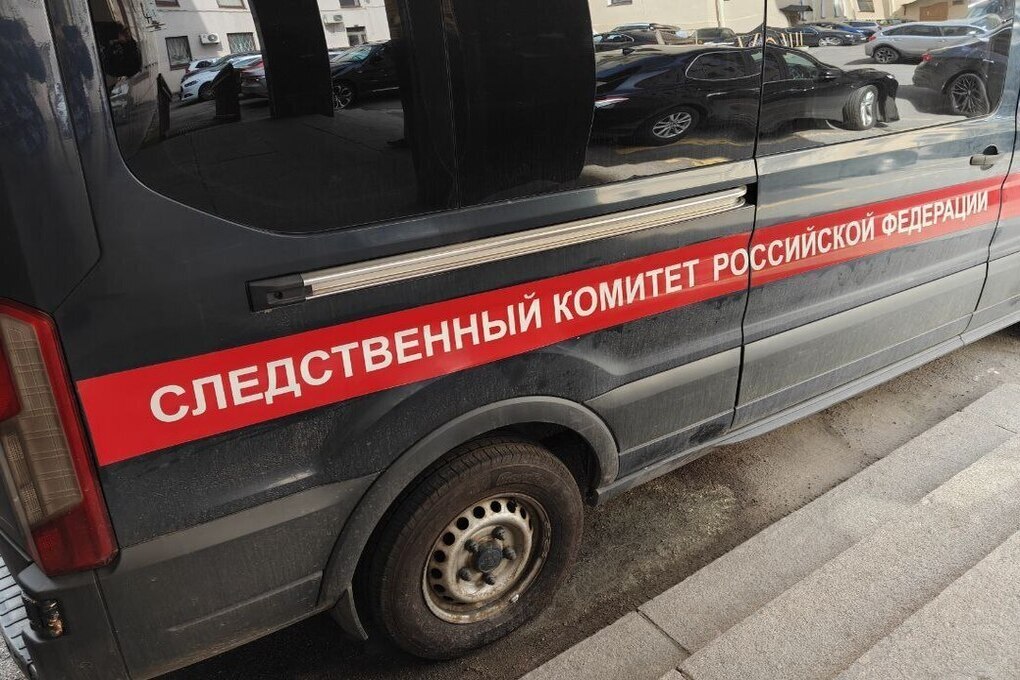 Глава СК заинтересовался историей с упавшей на женщину кровлей в Ленобласти