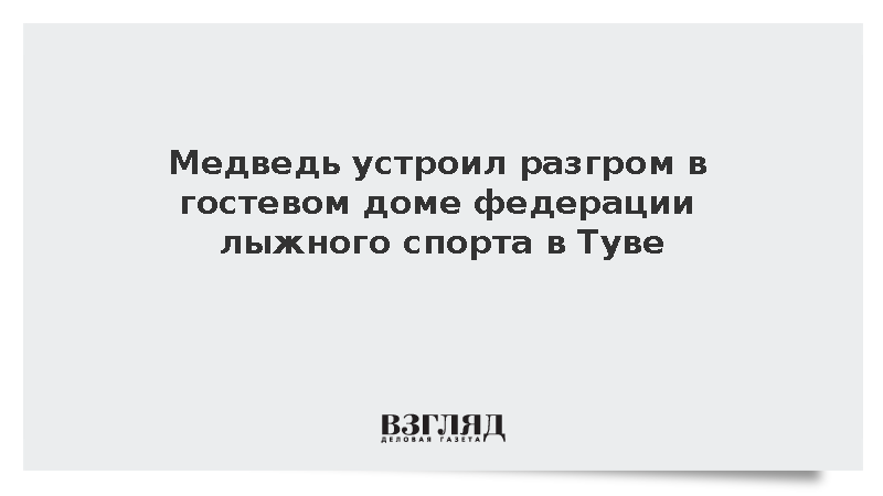 МВД: В Туве медведь разгромил гостевой дом федерации лыжного спорта