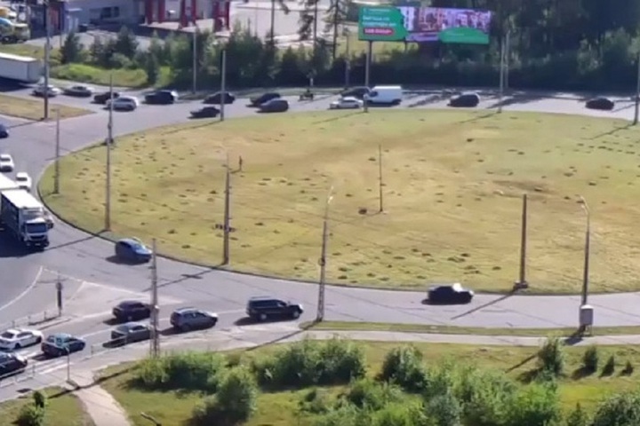 В Петрозаводске скорректировали правила проезда через Чапаевские кольца
