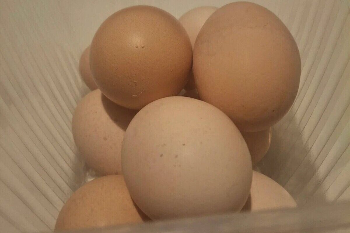 Психиатр перечислил улучшающие работу мозга продукты