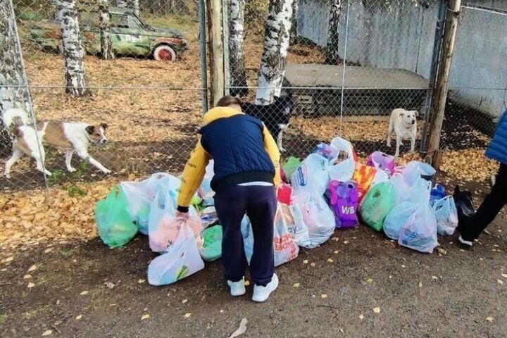 Школьники собрали помощь для приюта бездомных животных в Кирове