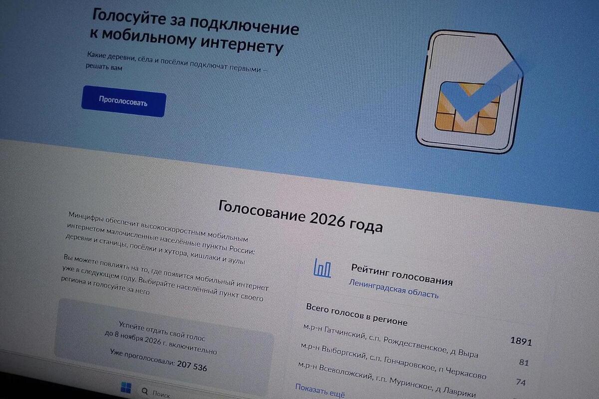 Жители Ленобласти до 8 ноября смогут проголосовать за мобильный интернет