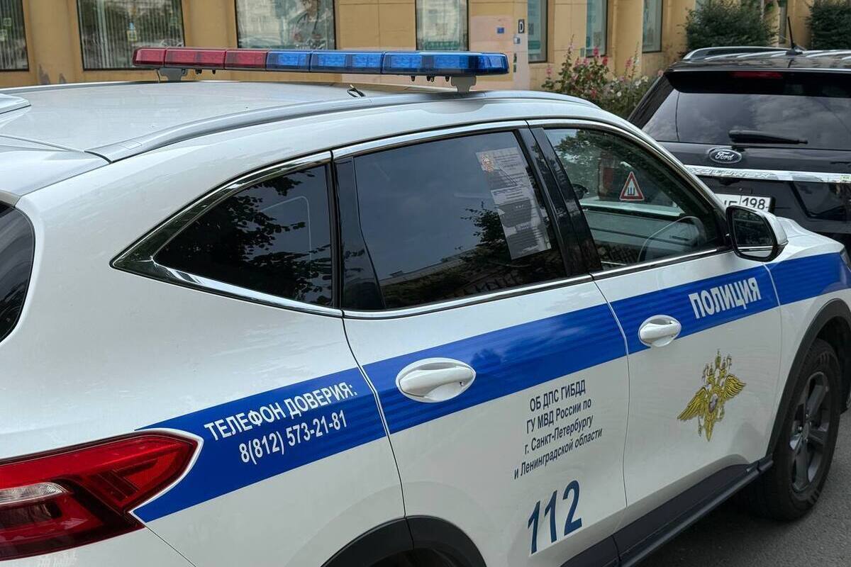 Шесть судимостей показались петербуржцу недостаточными и он пошел воровать