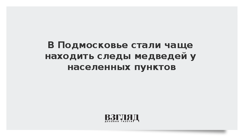 В Подмосковье за год обнаружили около 20 следов медведей у домов